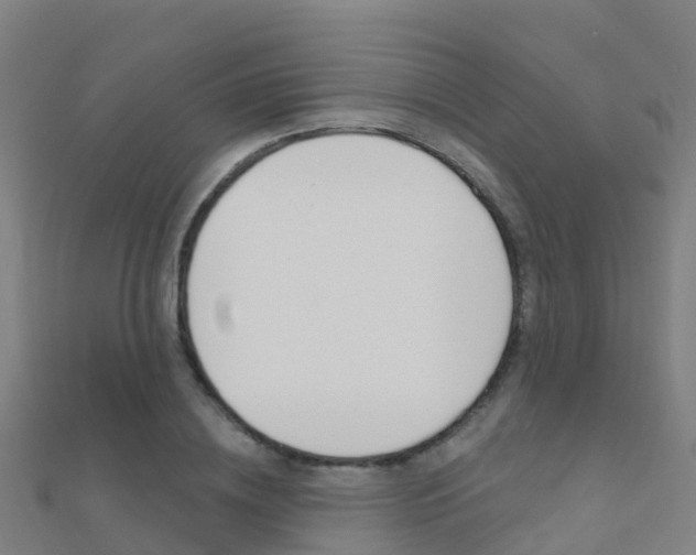 X0000112430836200908141109