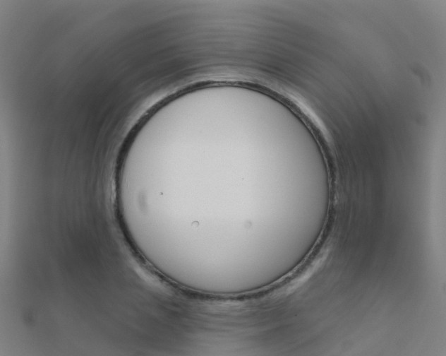 X0000112430837200908141109