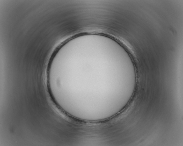 X0000112430840200908141109