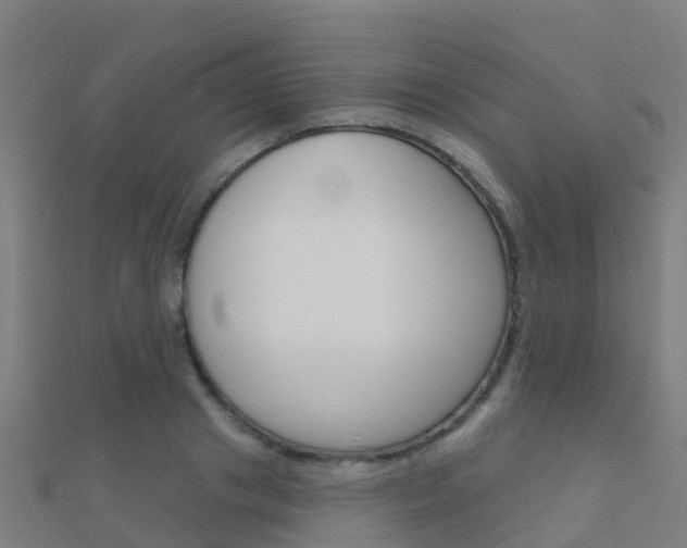 X0000112430841200908141109
