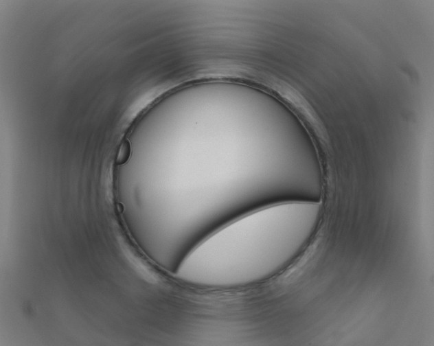 X0000112430842200908141109