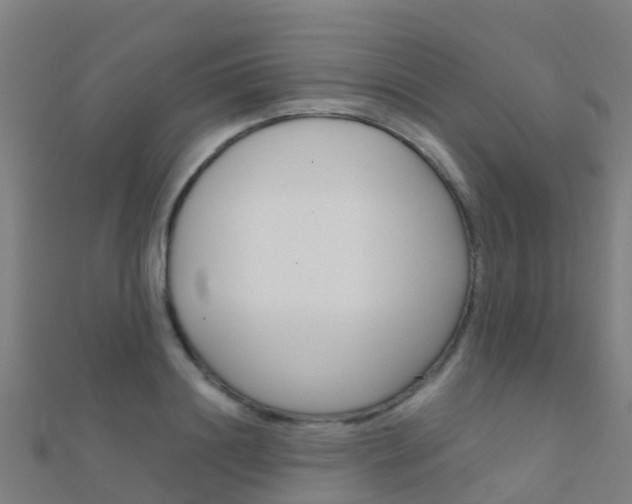 X0000112430844200908141110