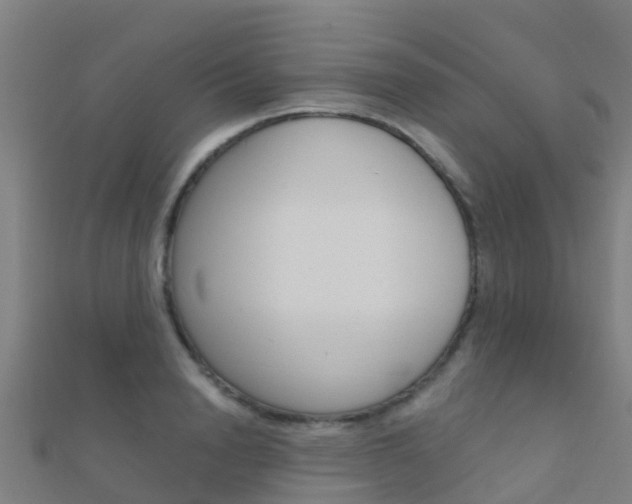 X0000112430846200908141110