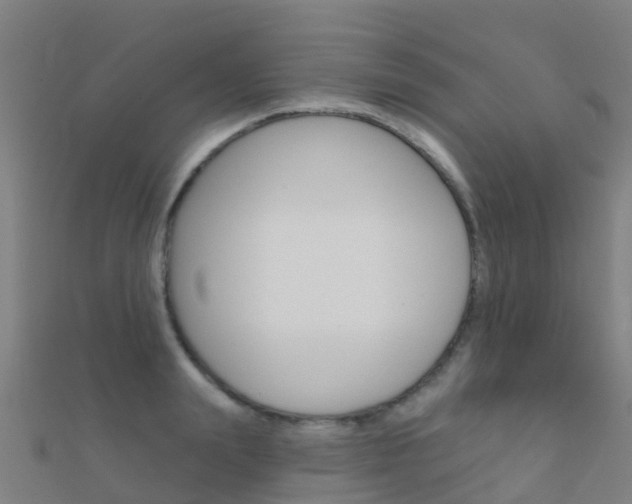 X0000112430847200908141110