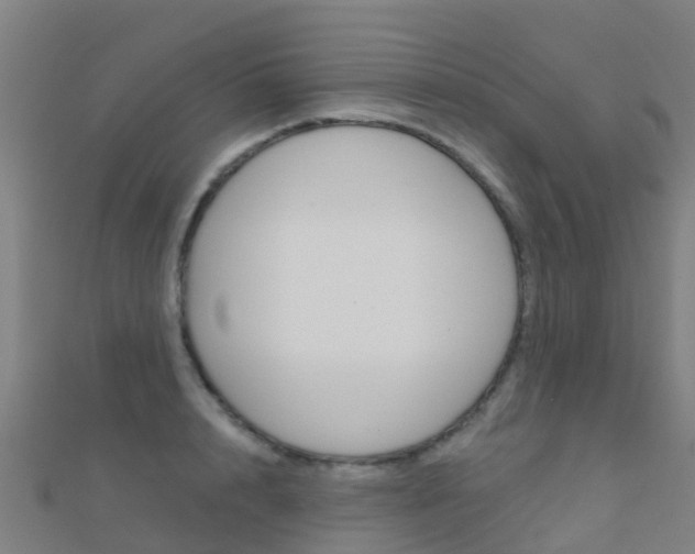 X0000112430848200908141110