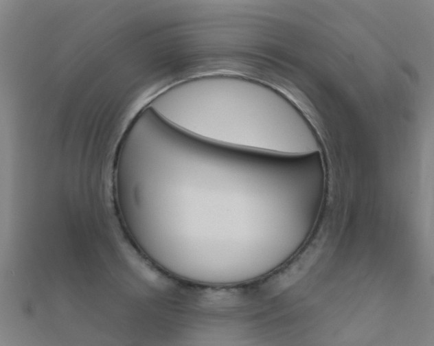 X0000112430850200908141110