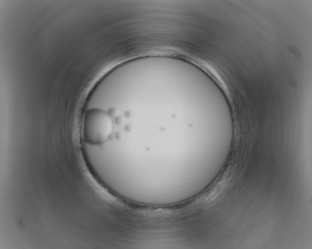 X0000112430851200908141110