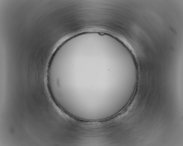 X0000112430853200908141110
