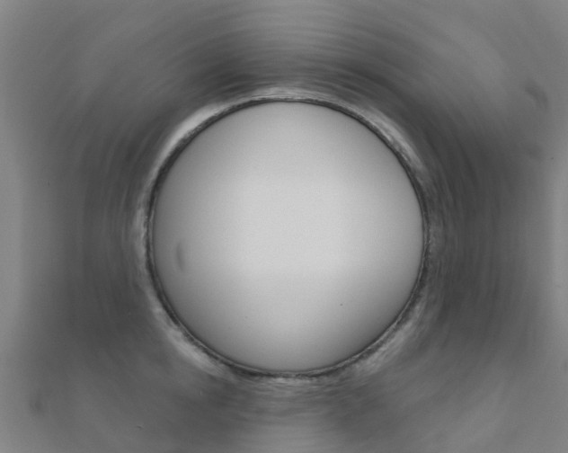 X0000112430854200908141110