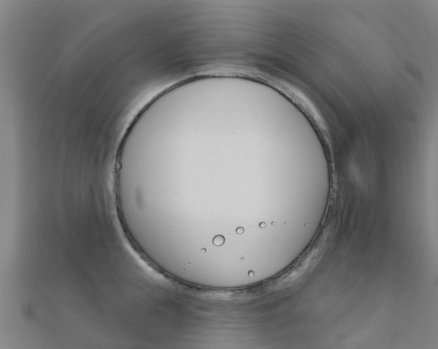 X0000112430855200908141110