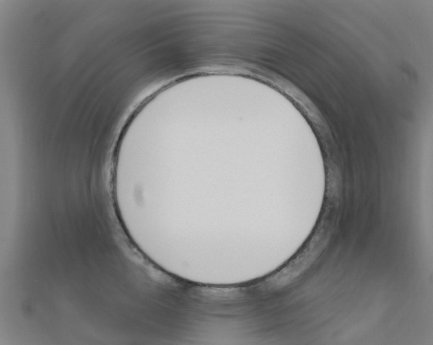 X0000112430856200908141110