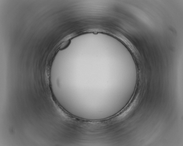 X0000112430857200908141110