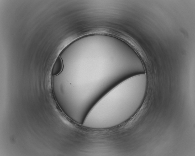 X0000112430858200908141110