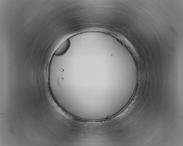 X0000112430860200908141110