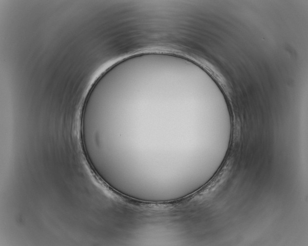 X0000112430862200908141110
