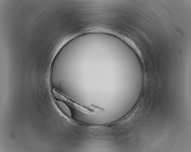 X0000112430863200908141110