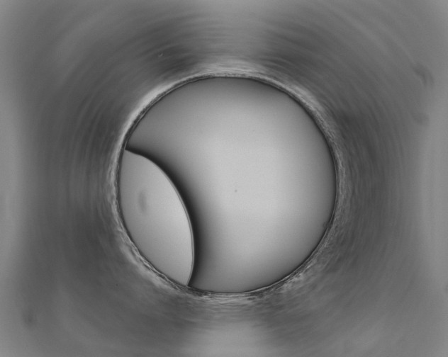 X0000112430864200908141110