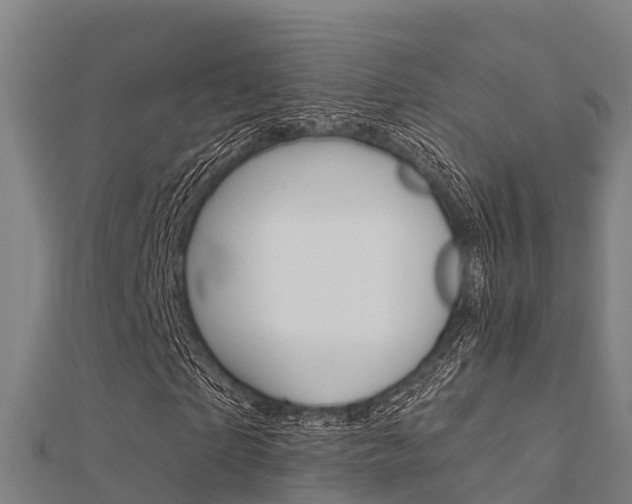 X0000112430865200908141109