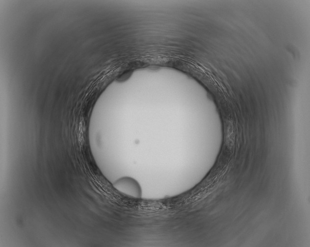 X0000112430866200908141109