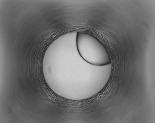 X0000112430868200908141109