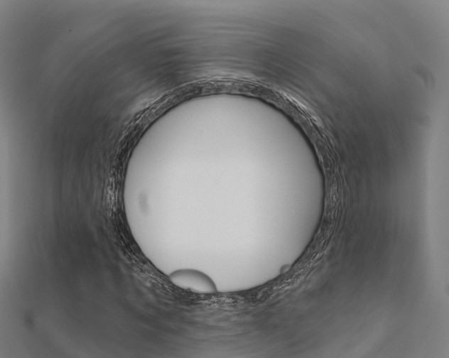 X0000112430869200908141109