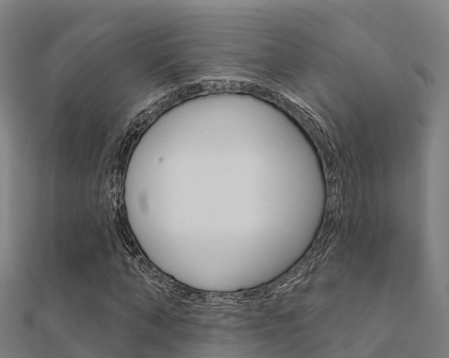 X0000112430870200908141109