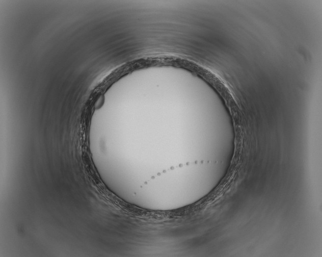 X0000112430871200908141109