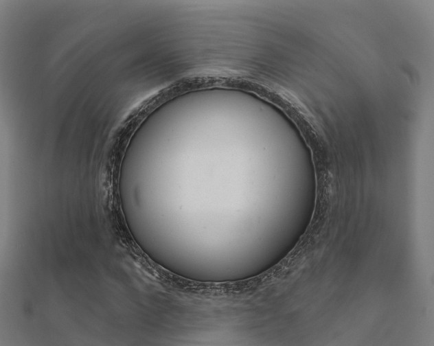 X0000112430872200908141109
