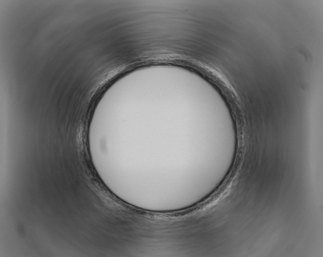 X0000112430873200908141109