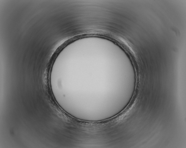 X0000112430875200908141109