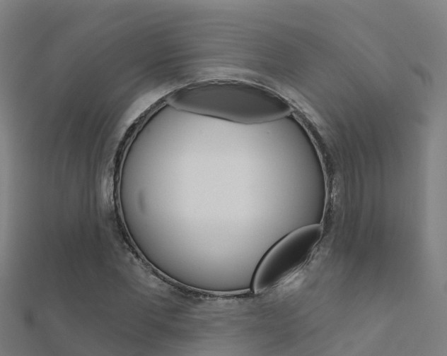 X0000112430877200908141109