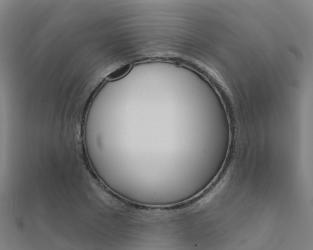 X0000112430881200908141109