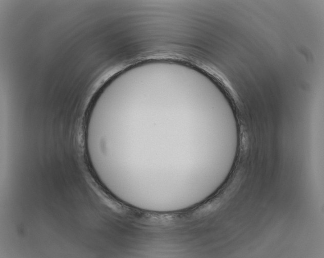 X0000112430882200908141109