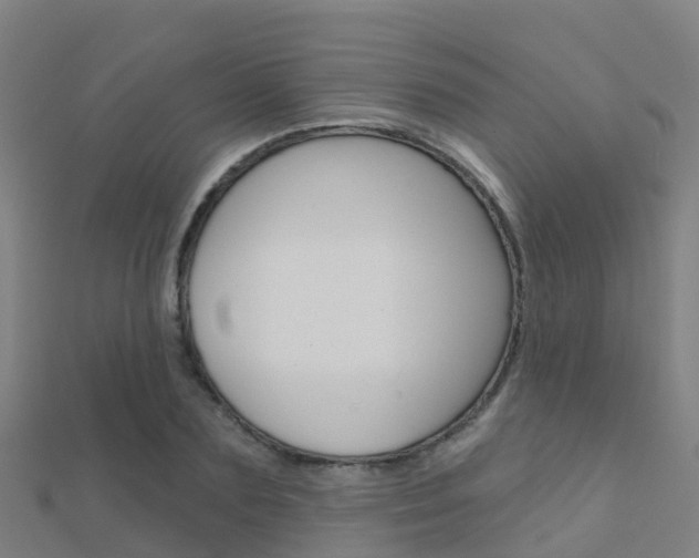 X0000112430883200908141109