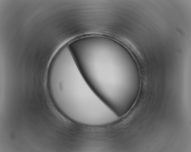 X0000112430884200908141109