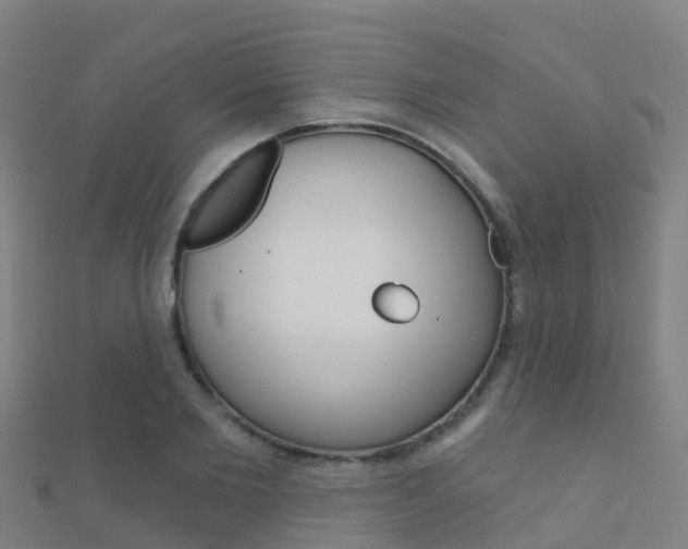 X0000112430885200908141109