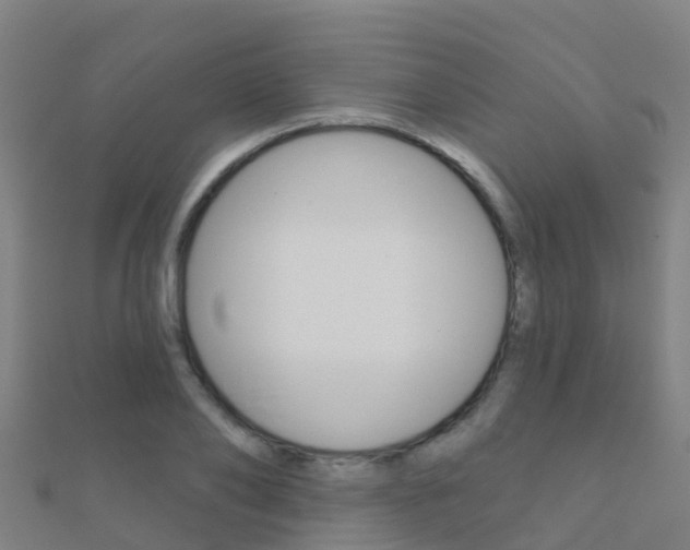 X0000112430886200908141109
