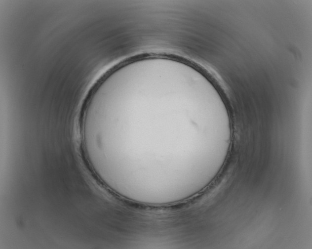 X0000112430887200908141109