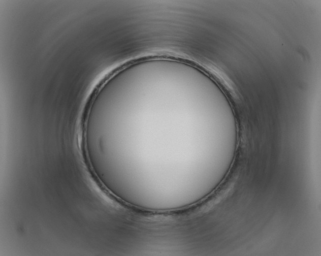 X0000112430888200908141109