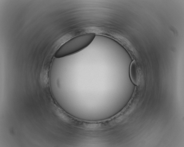 X0000112430889200908141109