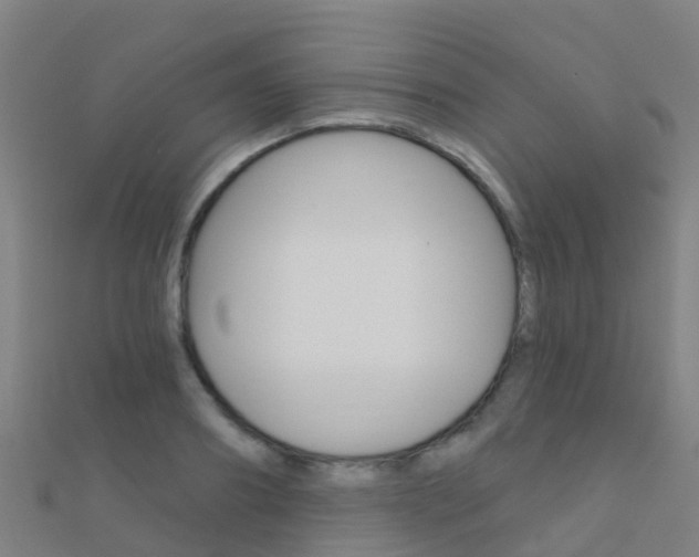 X0000112430890200908141109