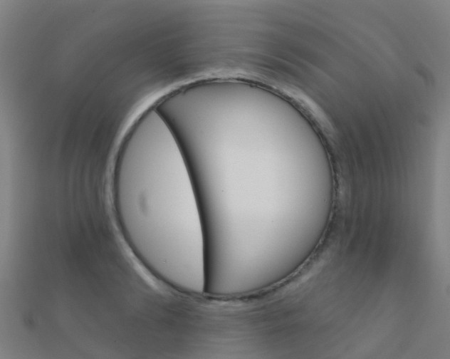 X0000112430894200908141109