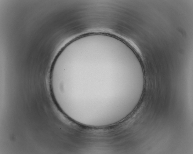 X0000112430895200908141109