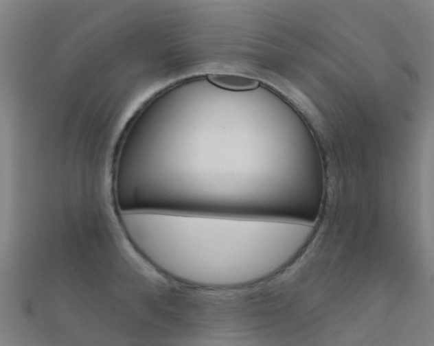 X0000112430896200908141109