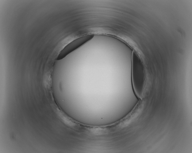 X0000112430897200908141109