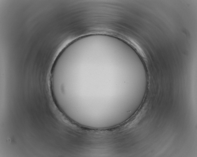 X0000112430899200908141109