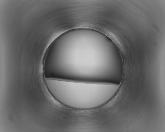 X0000112430900200908141108