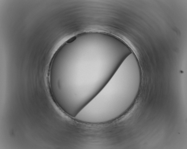 X0000112430901200908141108