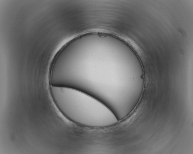 X0000112430902200908141108