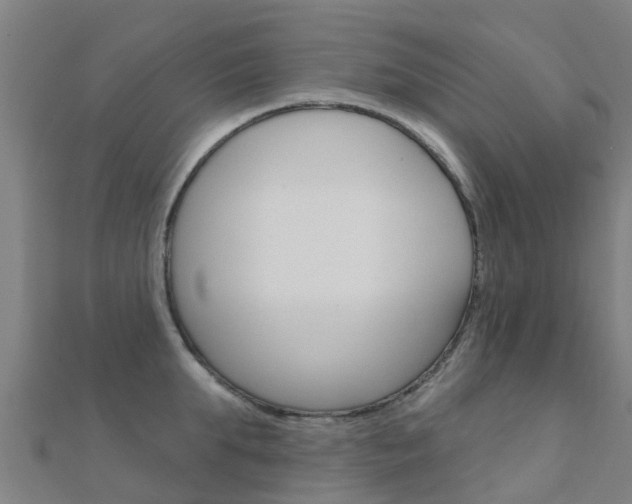 X0000112430903200908141108